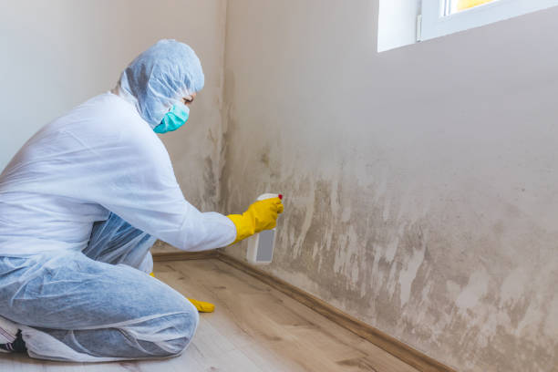 Best Crawl Space Mold Removal  in Columbus, MT