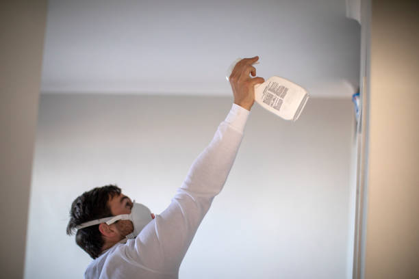 Best Certified Mold Removal  in Columbus, MT