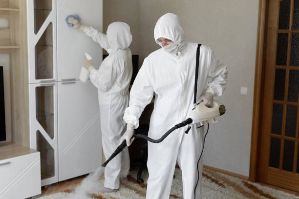 Best Attic Mold Removal  in Columbus, MT