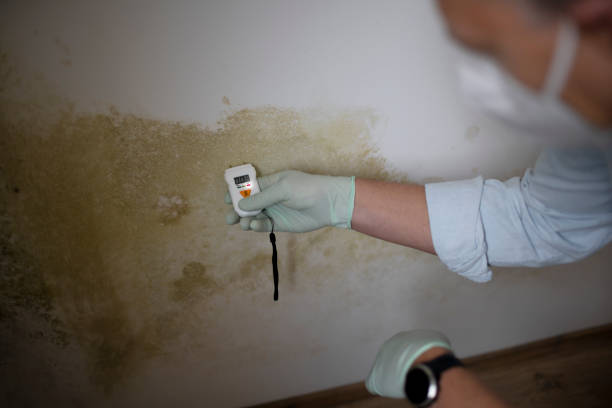 Best Mold Cleaning Services  in Columbus, MT