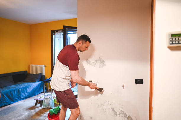 Best Water Damage Restoration  in Columbus, MT