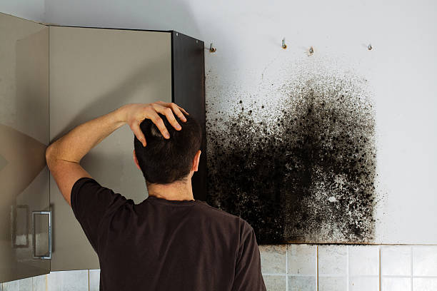 Columbus, MT Mold Removal Company